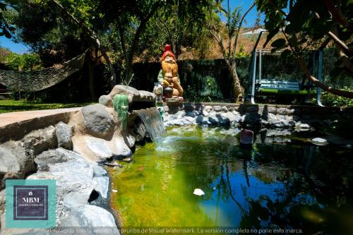 a dog sitting next to a pond in a park at Casa Ignacita VV in Las Palmas de Gran Canaria