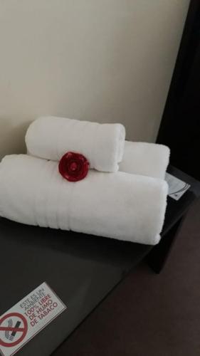 Postel nebo postele na pokoji v ubytování Grand Hotel Libertad