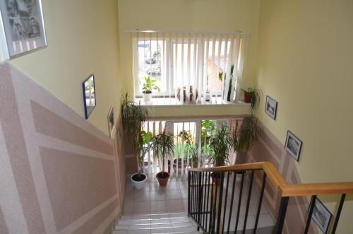 a hallway with a staircase with potted plants and a window at Europa in Rakhiv