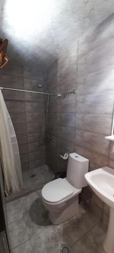 La salle de bains est pourvue de toilettes, d'une douche et d'un lavabo. dans l'établissement Guest house Lekhtagi, à Mestia