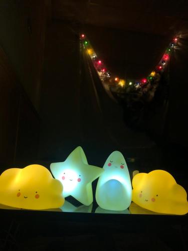 a group of three lighted ducks on a shelf with lights at Zhiben Hotspring in Wenquan