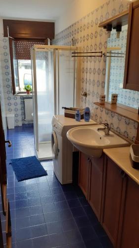 ein Badezimmer mit einem Waschbecken und einer Waschmaschine in der Unterkunft Colori nel parco in Cesiomaggiore