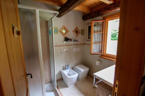 een badkamer met een douche, een toilet en een wastafel bij Baita Agaz in Sovramonte