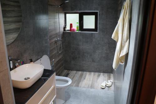 a bathroom with a sink and a toilet and a window at Forest house in Gabala