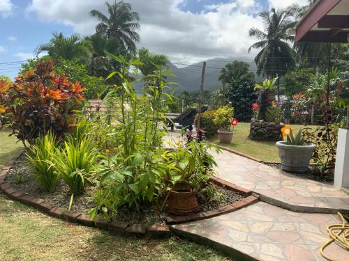 Jardín al aire libre en The Orchard Holiday Home
