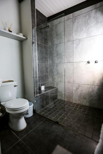 a bathroom with a shower and a toilet at Hadada Self Catering Studio in Haga-Haga