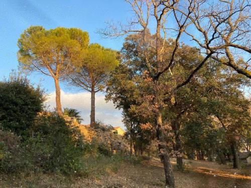 a group of trees on a hill with the sky at La Viste - SPA-JACUZZI - MASSAGE- SAUNA - 4 SAISONS - Piscine Chauffée Toute l'année - Heated POOL - 800m City Centre in Nyons