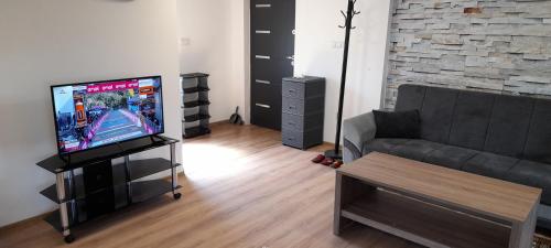 een woonkamer met een tv en een bank bij Aura City in Visoko
