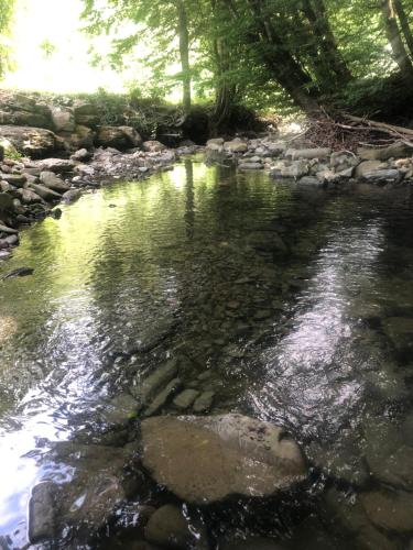 a stream of water with rocks in a forest at Casa nel bosco, Appennino Tosco Emiliano in Camugnano