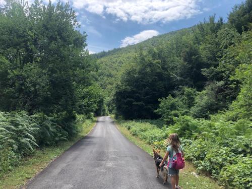 a girl walking down a road with a donkey at Casa nel bosco, Appennino Tosco Emiliano in Camugnano