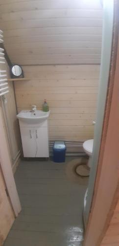 a small bathroom with a sink and a toilet at Готель Людмила in Synevyr