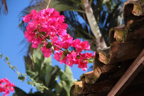 a bunch of pink flowers on a brick wall at Pousada do Cais in Paraty