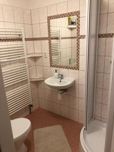 Ένα μπάνιο στο Ubytování Chotěvice