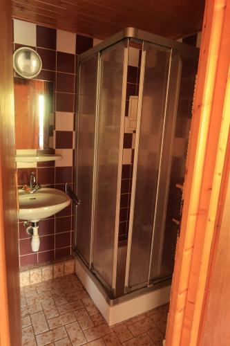 a bathroom with a shower and a sink at LACHAT appartement en chalet typique in Le Grand-Bornand