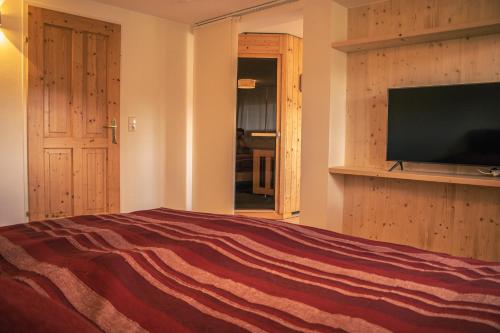 Μια τηλεόραση ή/και κέντρο ψυχαγωγίας στο Ferienhaus Fanni