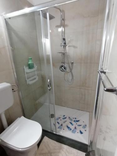 a bathroom with a shower and a toilet at San Caloiru Home in Naro