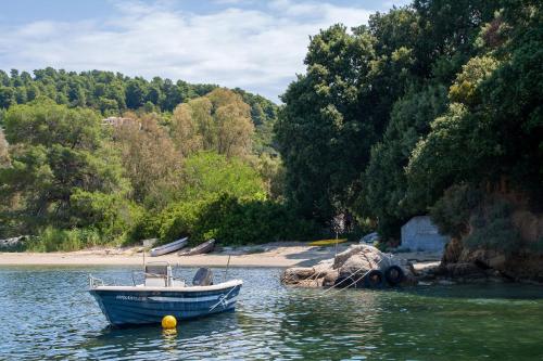 a boat sitting in the water next to a beach at Amouage Boutique Home in Skiathos Town