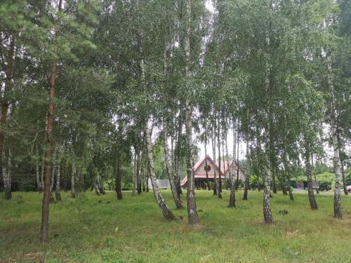 a house in the middle of a field with trees at Brzozowy Zaułek in Bydlino