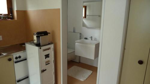 a small bathroom with a sink and a toilet at Holzji in Glis
