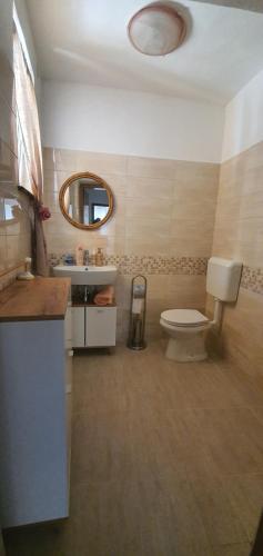 a bathroom with a toilet and a sink and a mirror at Apartma Jasna in Lokev