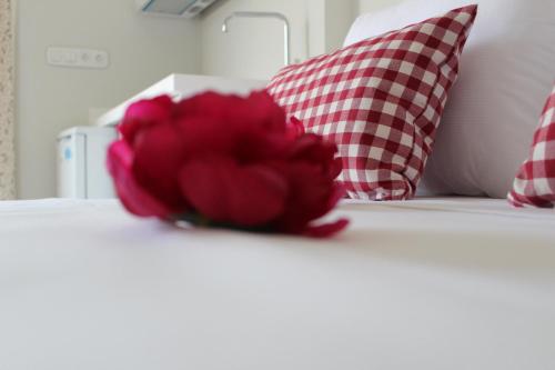 uma flor vermelha sentada numa cama com duas almofadas em Anastasia Mare Luxury em Stavros