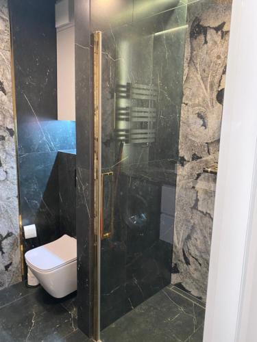 a bathroom with a toilet and a glass shower at Apartament GOLD in Świnoujście