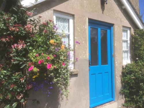 a blue door on a house with flowers at Smeaton Farm Luxury B&B in St Mellion