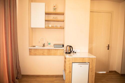 une petite cuisine avec évier et comptoir dans l'établissement Natali, à Tbilissi