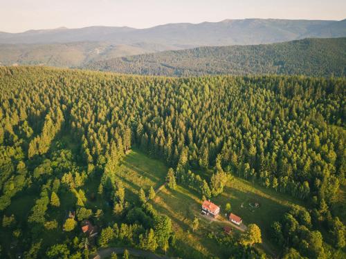 widok z lotu ptaka na dom w środku lasu w obiekcie Izerski Horyzont - dom z balią w leśnej perspektywie w mieście Kopaniec