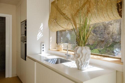 a kitchen with a sink and a vase with a plant at 11 Holiday Homes in San Miguel de Abona