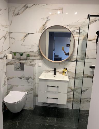 a bathroom with a sink and a mirror and a toilet at Apartament Luna in Biała Podlaska
