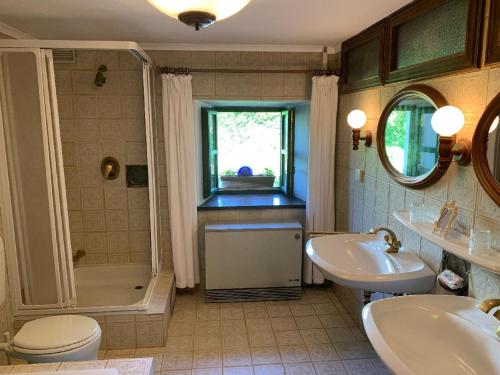 a bathroom with a toilet and a sink and a tub at Ferienhaus Rötzer Maria in Grafenau