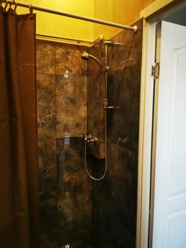 a shower with a glass door in a bathroom at Hotel Kārklu Muiža in Jelgava