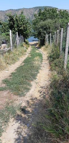 a dirt road with a fence next to a body of water at Vila Kozokic in Kladovo