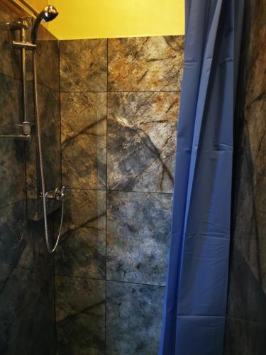 a shower with a blue shower curtain in a bathroom at Hotel Kārklu Muiža in Jelgava