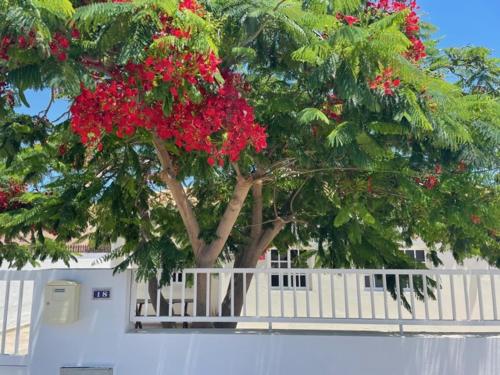 Gallery image of Casa Enamorado in Tarajalejo