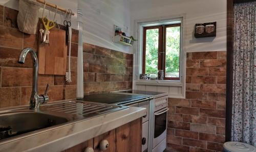 a kitchen with a sink and a stove at Mala kuća in Vele Drage