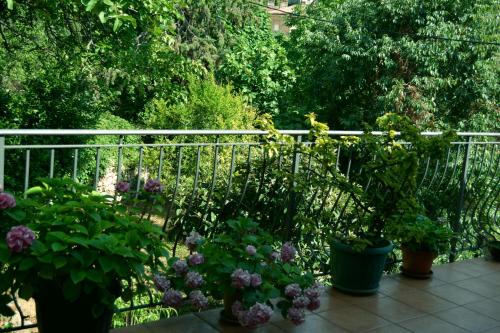 Casa del Padre - Mirabelle