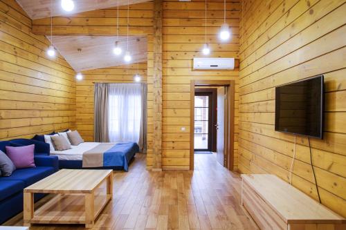 a living room with a blue couch and a tv at Трипільське Сонце in Podgortsy
