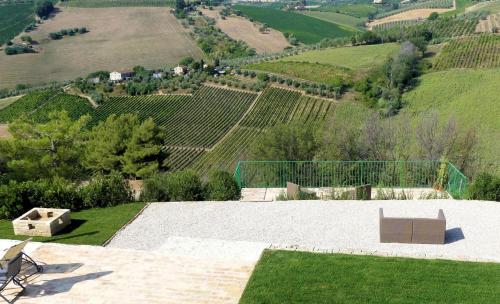 a white bench sitting on top of a field of grapes at Relais Cocci Grifoni - Panoramic Wine Resort in Offida