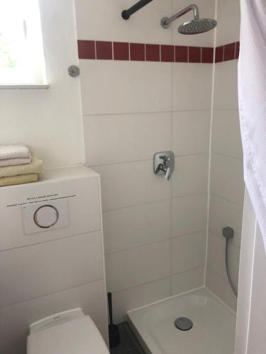 a small bathroom with a toilet and a shower at Wohnen im Weinberg in Rheinbreitbach
