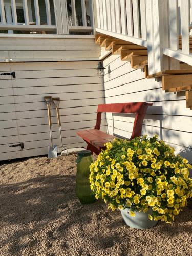 a chair and a vase of flowers next to a house at Eleonora Bed & Breakfast in Kristiinankaupunki