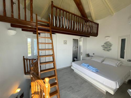 a bedroom with a bunk bed and a ladder at Windmill House Antiparos in Soros