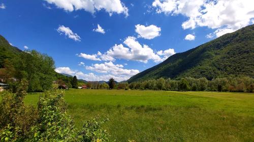 a large green field with mountains in the background at Emerald Soca Apartment in Tolmin