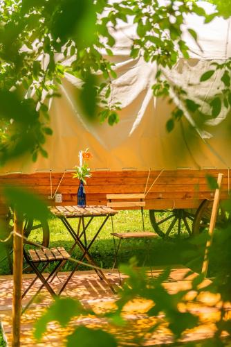 Gallery image of Dragonfly Gardens Urban Glamping Brasov in Braşov