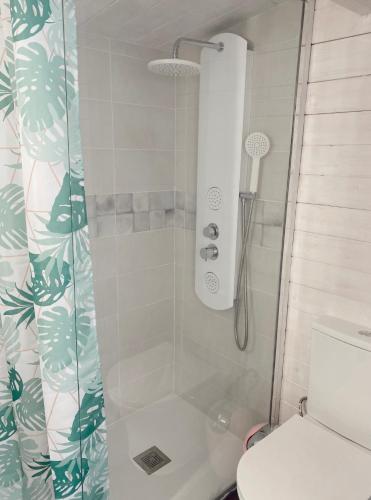 巴列格蘭雷的住宿－LAS CASITAS DE EVA Y LOLA，带淋浴和卫生间的浴室