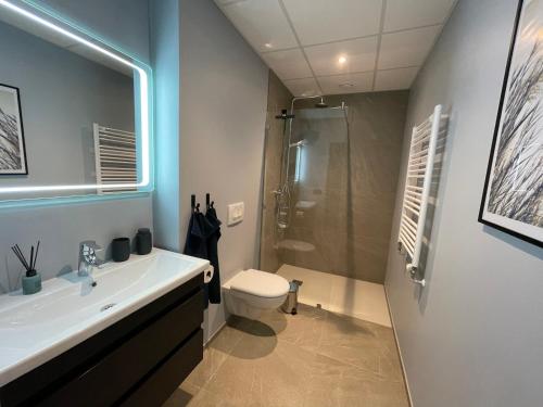 a bathroom with a toilet and a sink and a shower at Arctic Loft Apartments in Akureyri