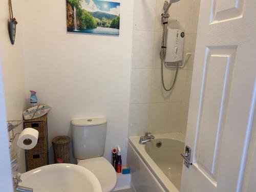 a bathroom with a toilet and a tub and a sink at Wye View in Tintern