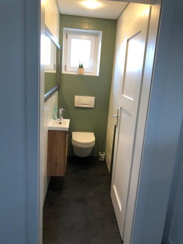 a bathroom with a toilet and a sink and a window at Ferienhaus Pusteblume in Leutkirch im Allgäu