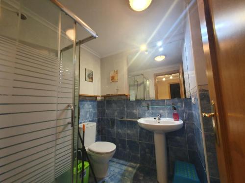 カンガス・デ・オニスにあるEl Mirador de Cangasのバスルーム(洗面台、トイレ、シャワー付)